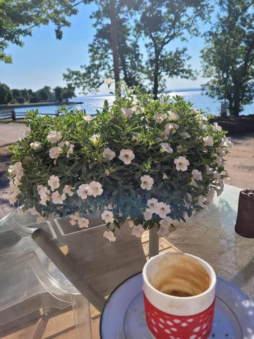 Om Chalet 1 Avec Spa Face Au Fleuve Saint-Jean Exteriör bild